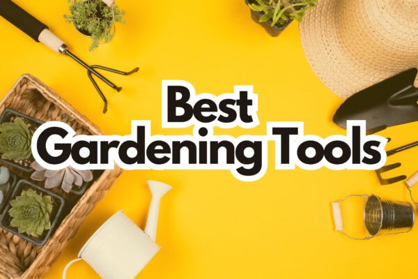 Best Gardening Tool